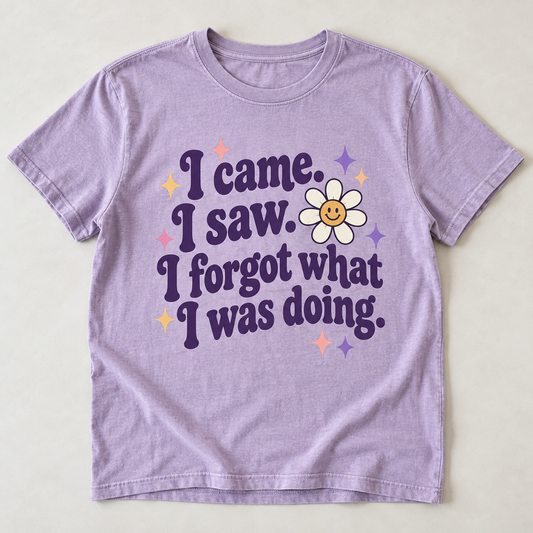 I Came, I Saw, I Forgot What I Was Doing